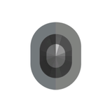 Iron
